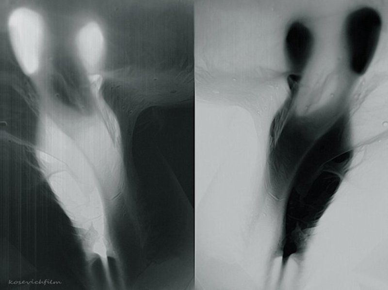 тени а на утро её уже небылоphoto preview