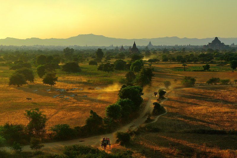 бирма баган Sun walleyphoto preview