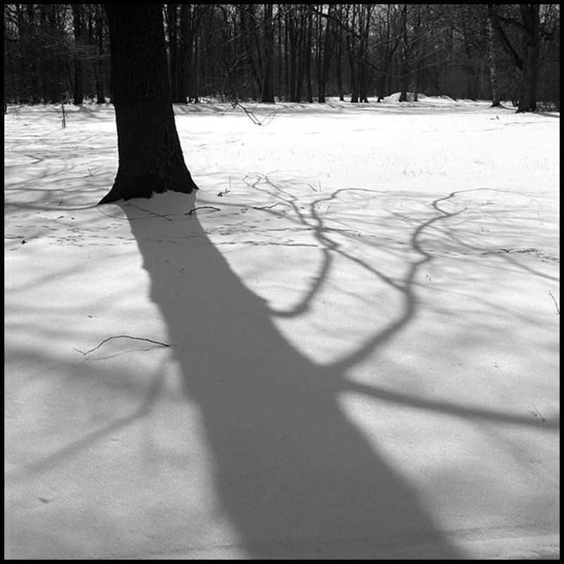 Последний снегphoto preview