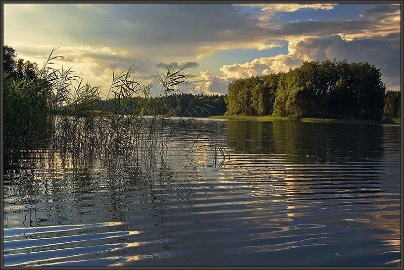 Вечерелоphoto preview