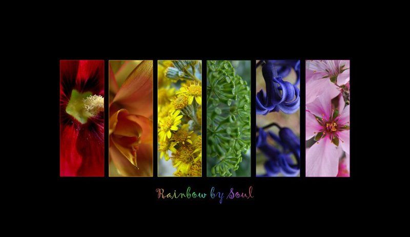 colors Rainbow 3photo preview