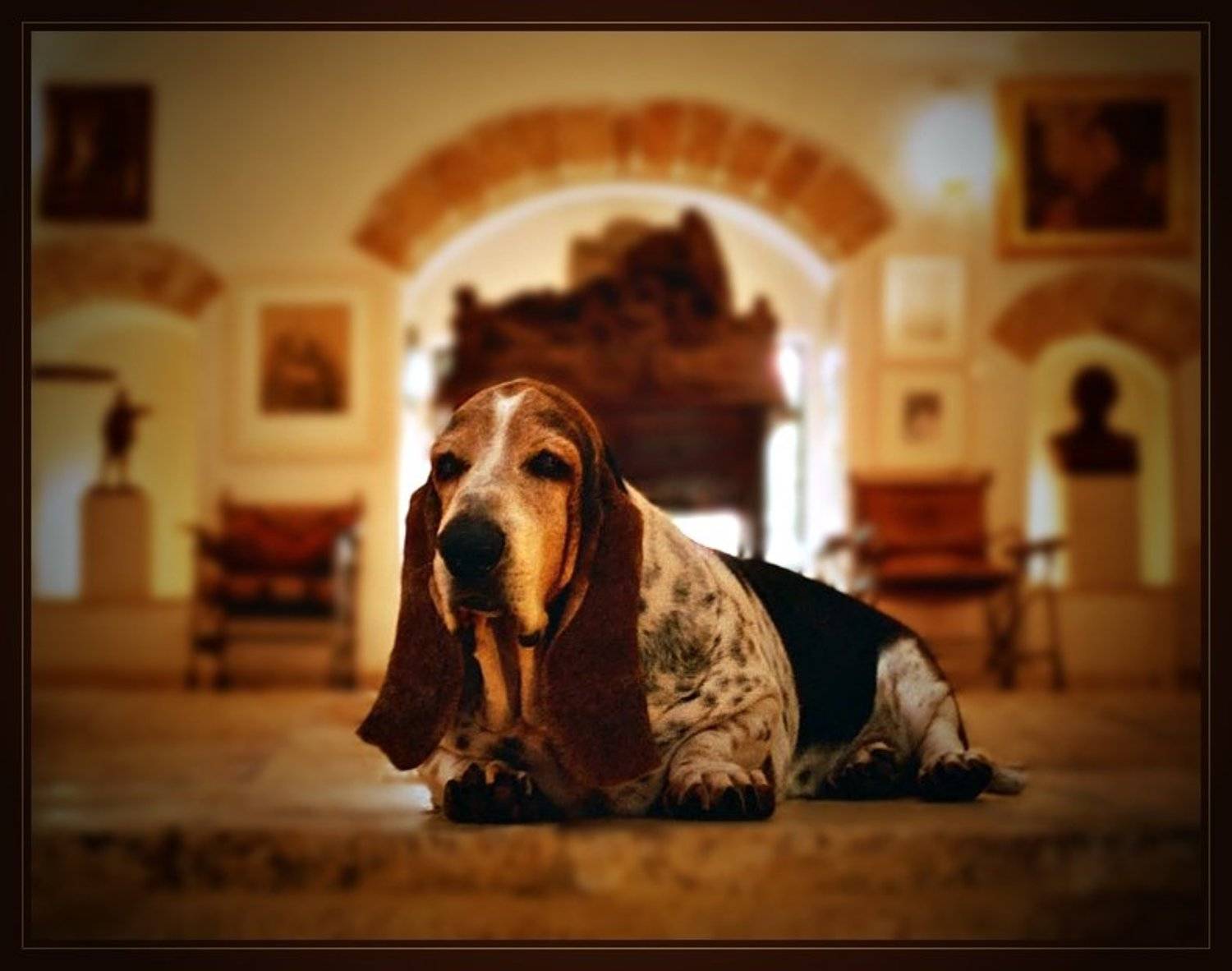 знакомый мой, Gennadi