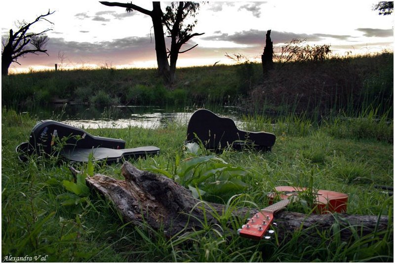 гитары, вода, австралия, река, зелень, мельбурн Guitars on the waterphoto preview