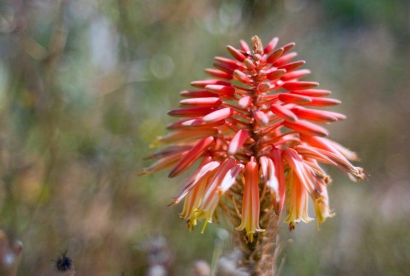 igalsc *** фото превью