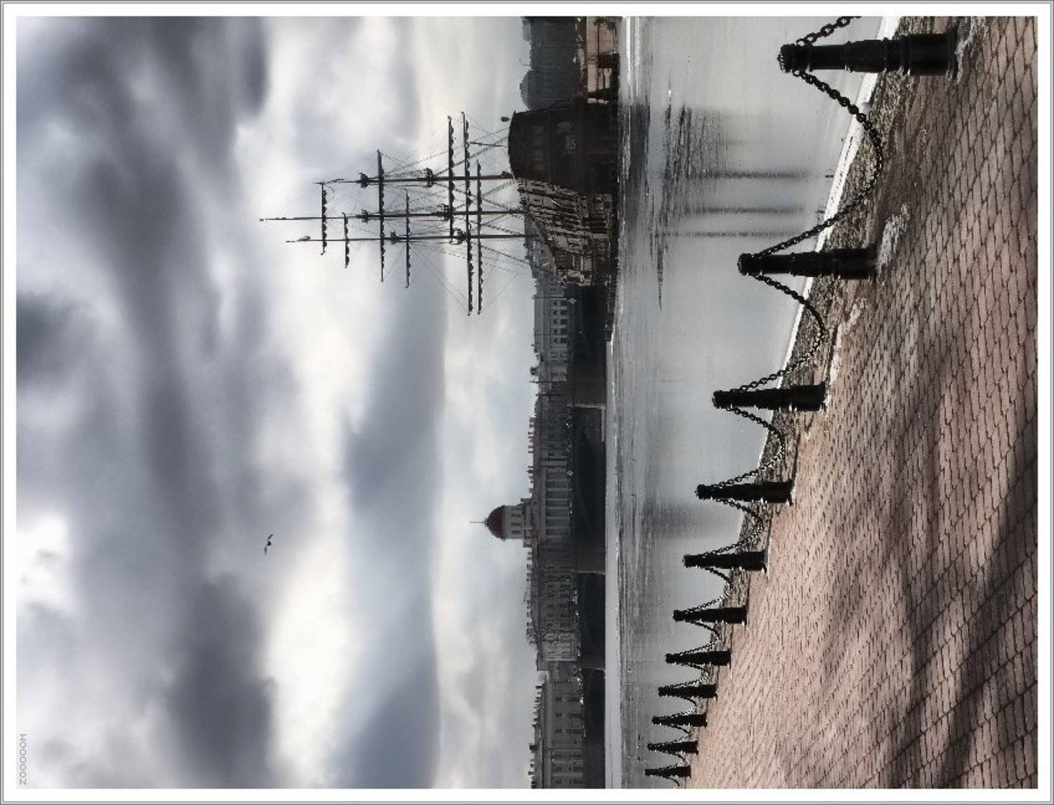 петербург нева парусник, Алексей (zooooom)