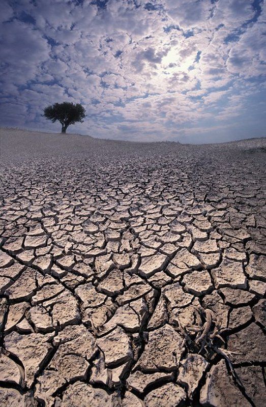 глобальное потеплениеphoto preview