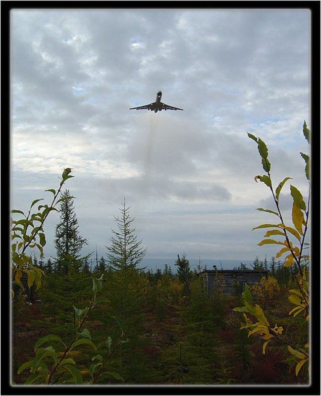 самолёт,тайга Под крылом самолётаphoto preview