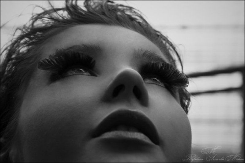 высавка ...полёт...photo preview