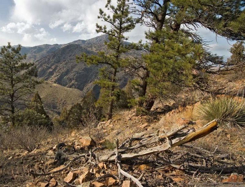 morrison, co Mt. Falconphoto preview