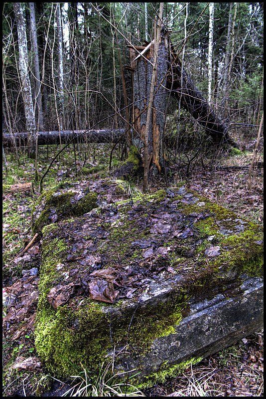 кемери Нам не дожить до Весны (2)photo preview