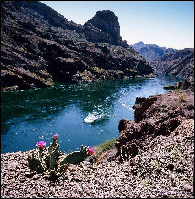 Колорадо. Автор: Григорий Иващенко америка, каньон, весна, горы, колорадо, река, Григорий Иващенко