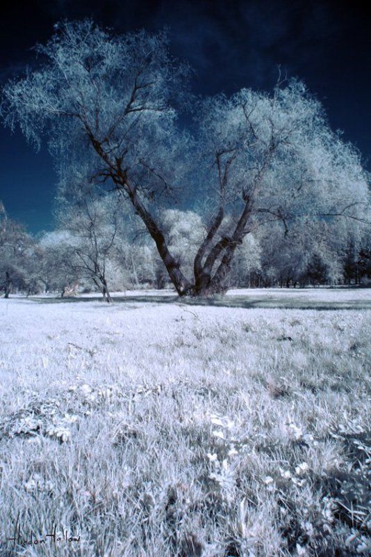 Ядерная Веснаphoto preview