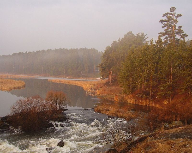 весна, туман, утро Апрельское туманное утроphoto preview