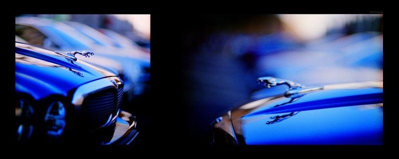 Jaguar фото превью