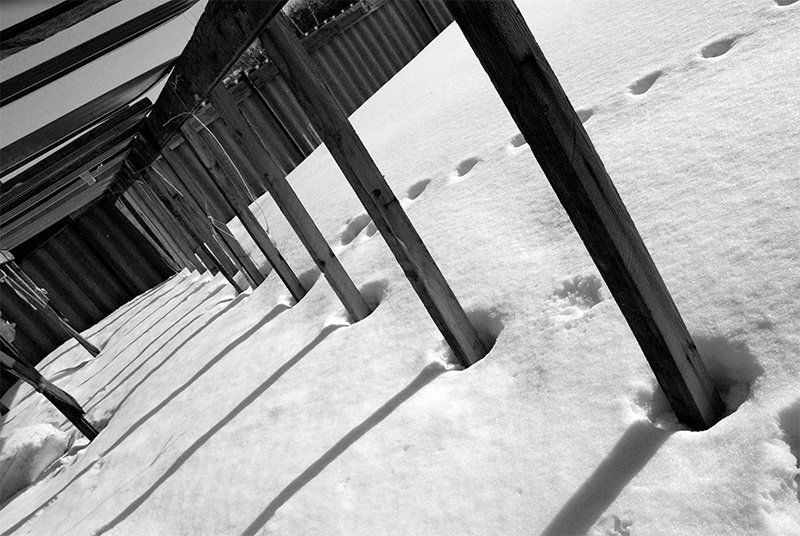 март, солнце, теплица Мартphoto preview