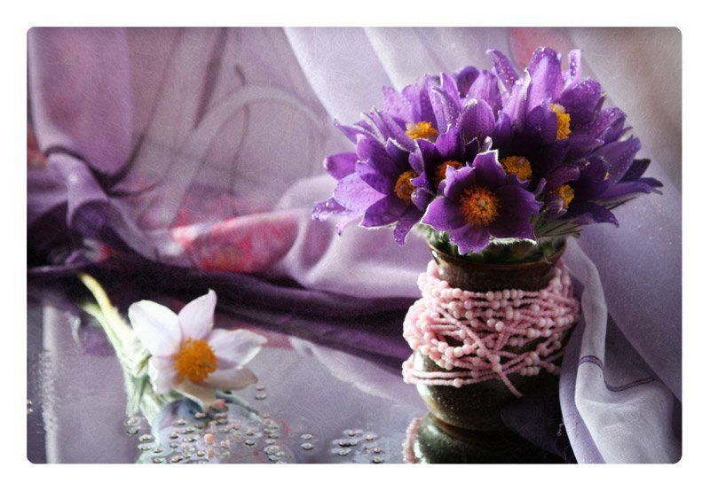 нежность Подснежникиphoto preview