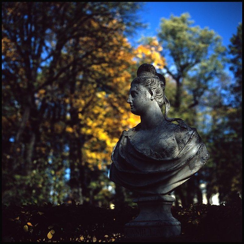 Camillaphoto preview