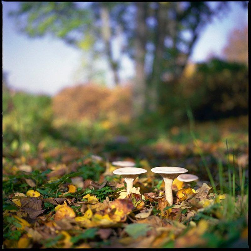 Медитативный пейзажphoto preview