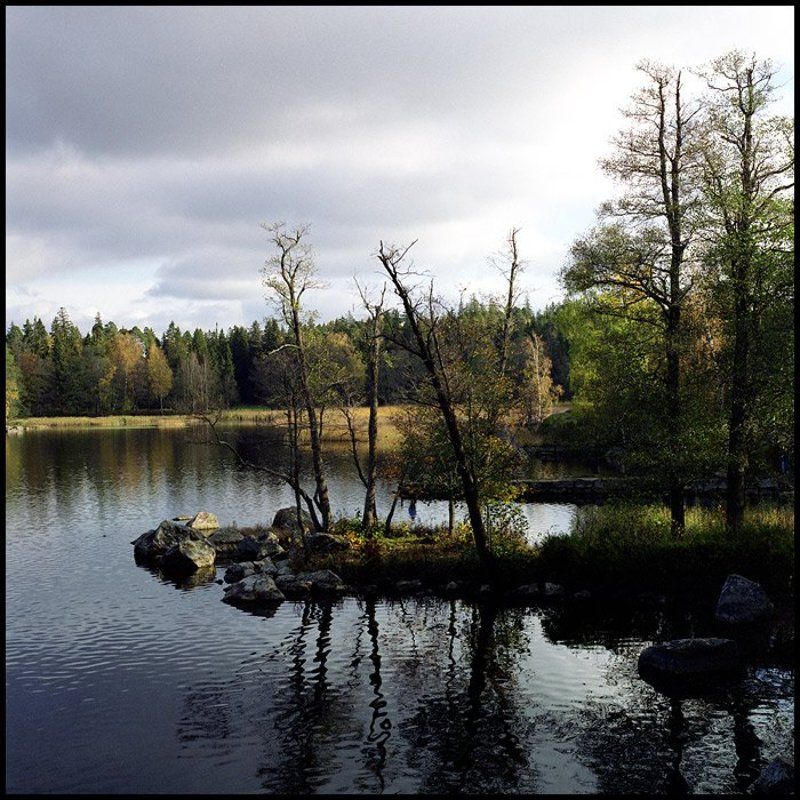 Монрепоphoto preview