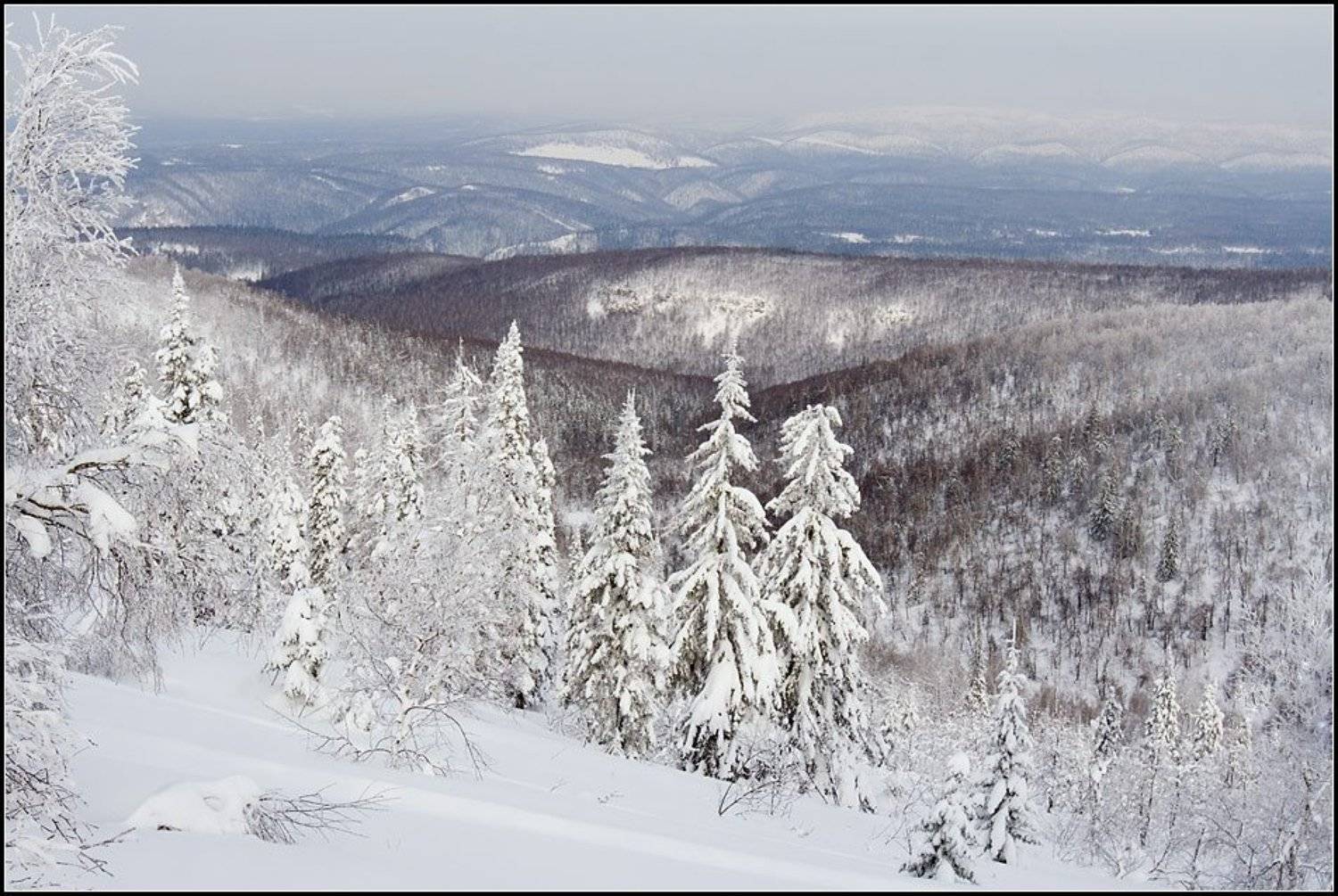 хребет ажигардак, снеговые горы, хребет воробъёвы горы, Степанов Сергей
