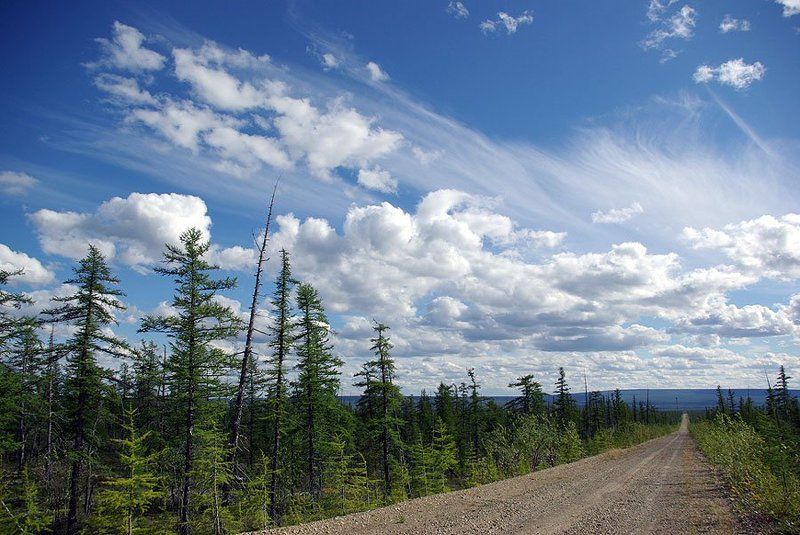 тайга,дорога,облака Дорога с облакамиphoto preview