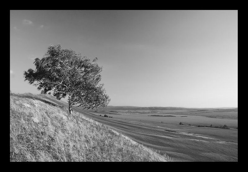 мечта - летатьphoto preview