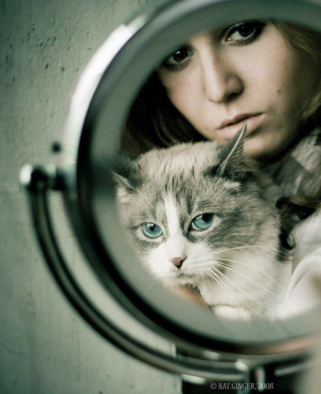 портрет Про кошку и красивую девушку )photo preview