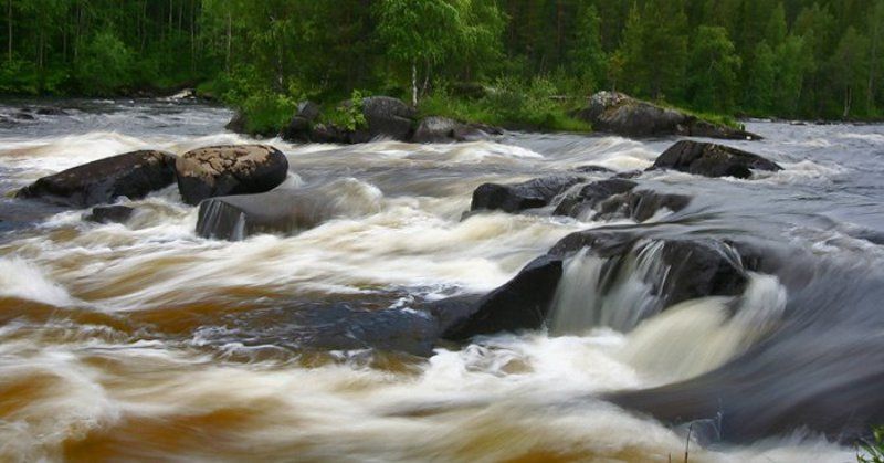 природа, кереть, Керетьphoto preview