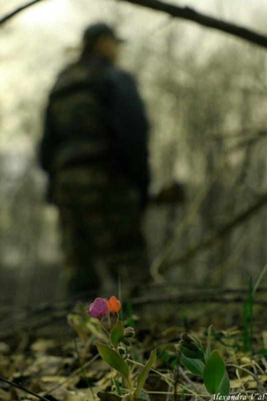 охота, ружьё, цветы, весна, сезон Весна. Открытие охотничьего сезонаphoto preview