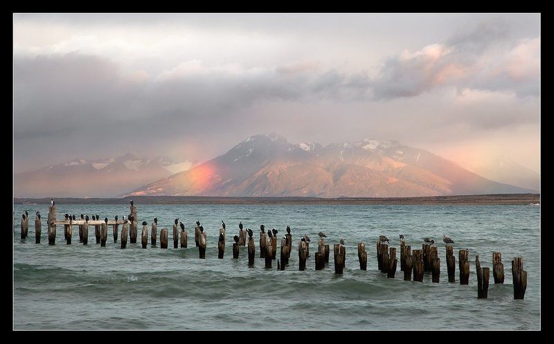 чили, пуэрто наталес,птицы, радуга,патагония Встречая новый день....photo preview