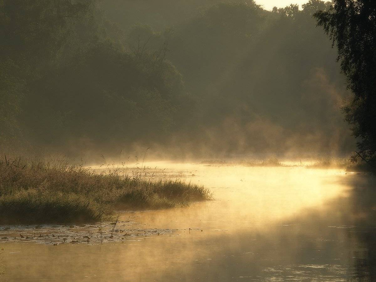 Пробуждение. Автор: Владимир Перепечаев , Владимир Перепечаев