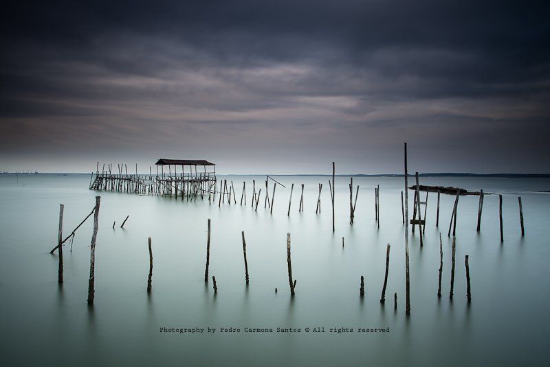 carrasqueira, setubal Carrasqueiraphoto preview