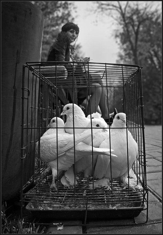 Счасть в неволе ...photo preview