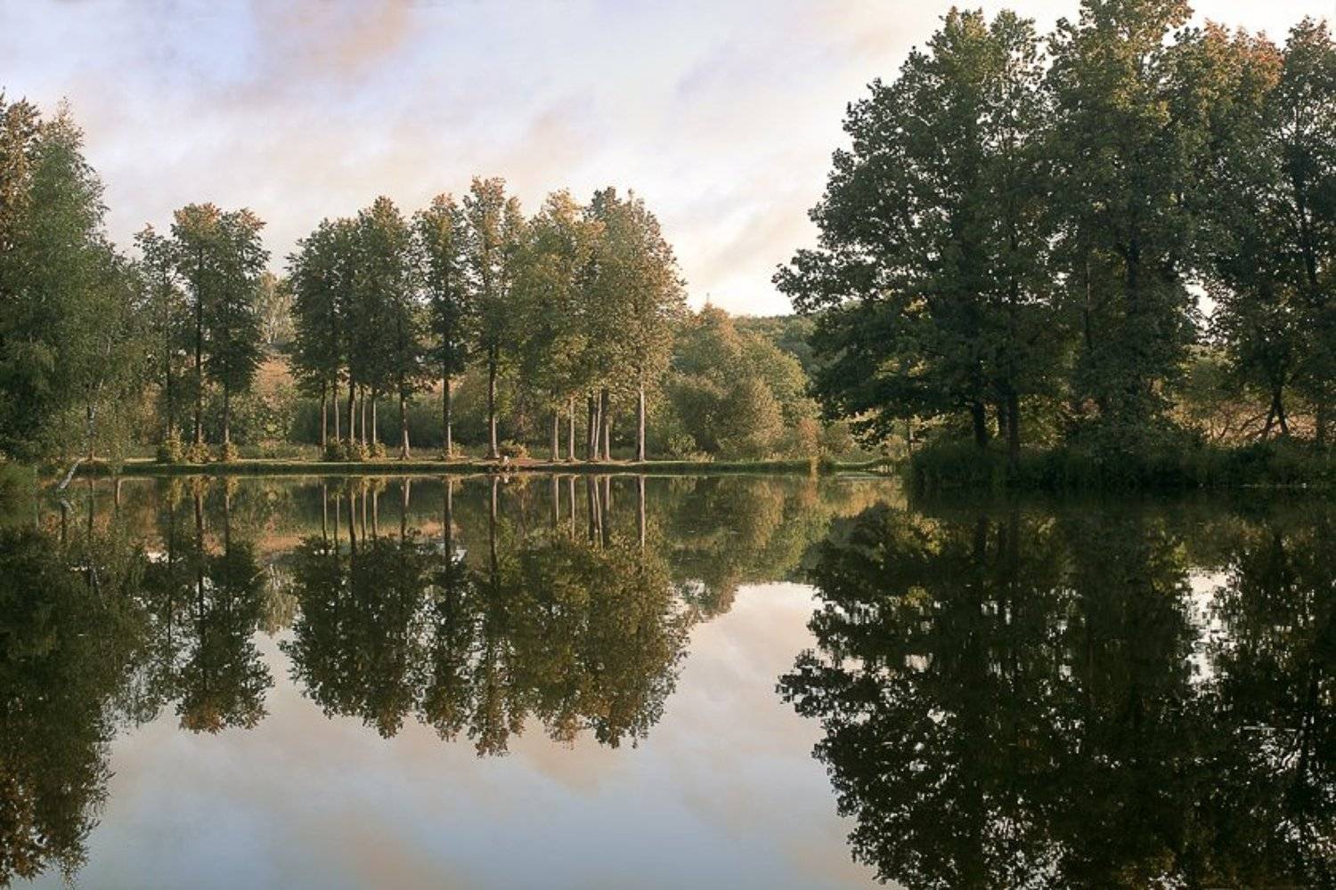 середниково, утро, пруд, рассвет, природа, Sergey B.