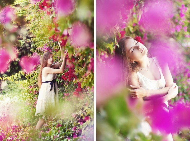 flower princessphoto preview