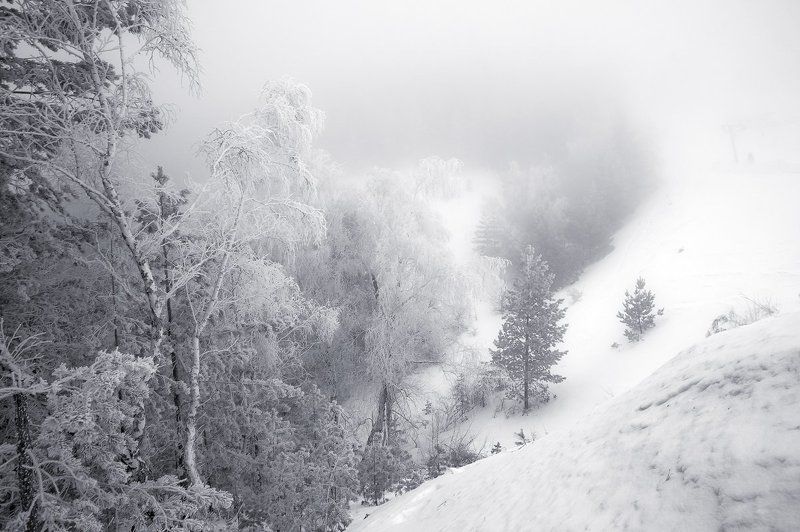 Капризы природы ранней веснойphoto preview