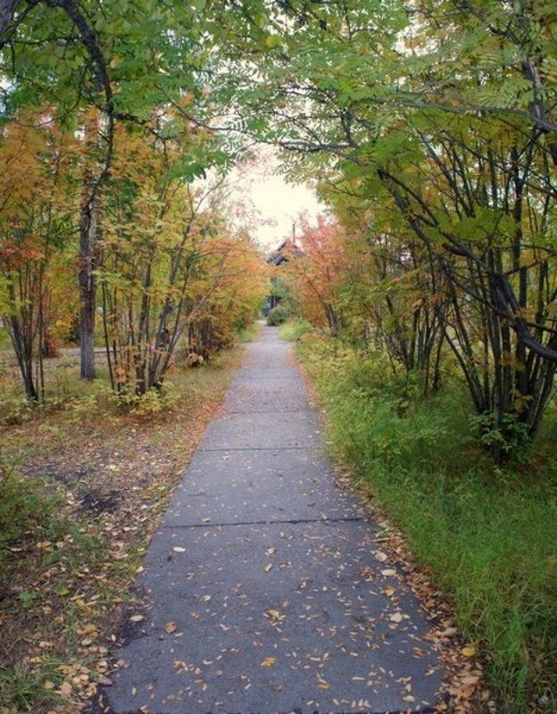 осень. Осенняя аллея.photo preview