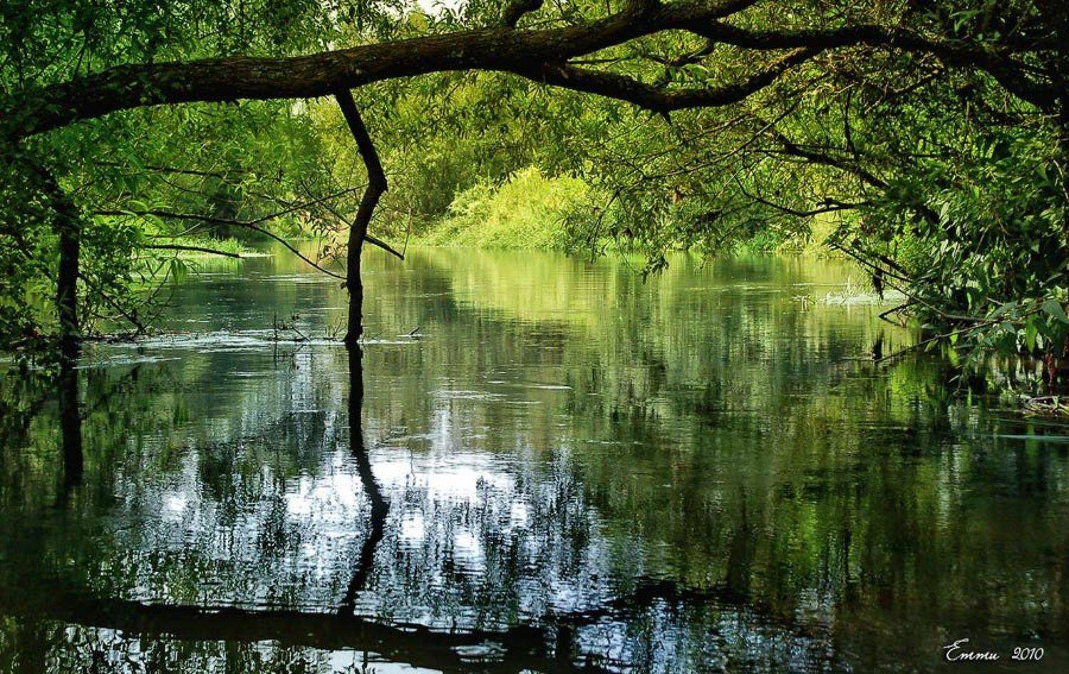 природа, река, лето, вода, етти