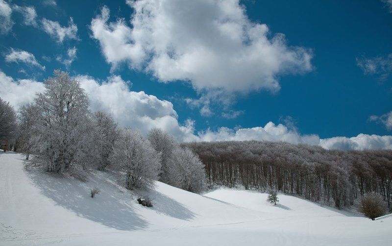 Весна на Ай-Петриphoto preview