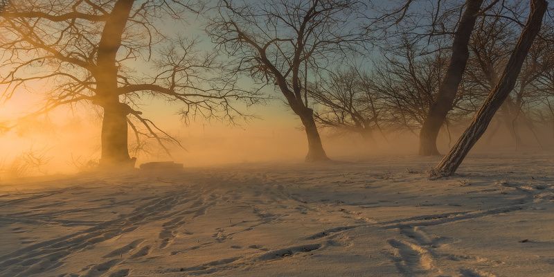 город, парк, зима река кубань СНЫ О ЧЕМ-ТО БОЛЬШЕМphoto preview