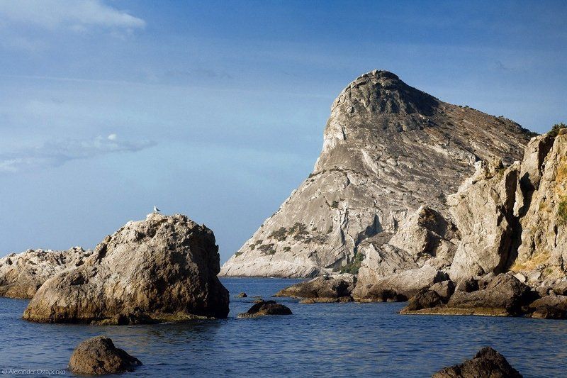 новый свет, крым, чайка, горы, море, берег, природа, коба кая Новый Свет. Утро. Коба-Каяphoto preview