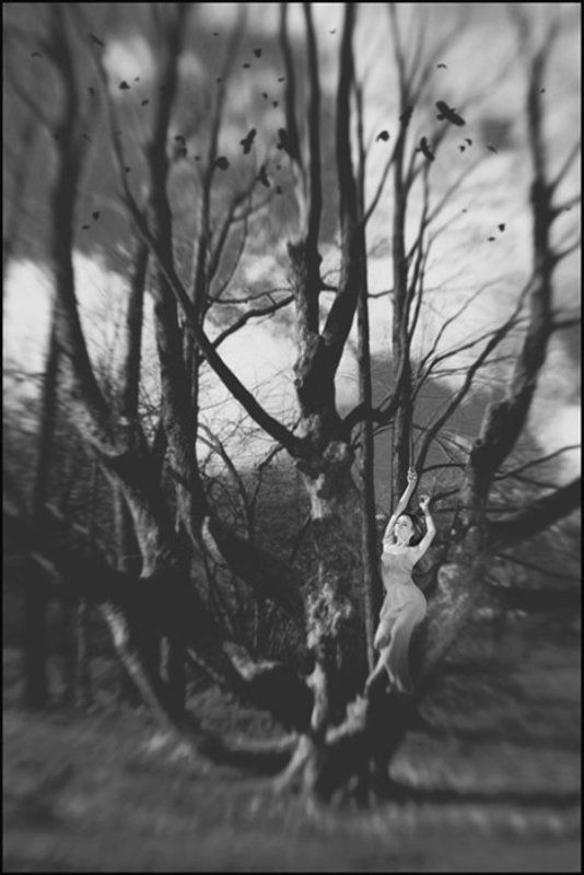 сон сонphoto preview