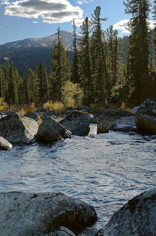 Хроника одной реки 3photo preview