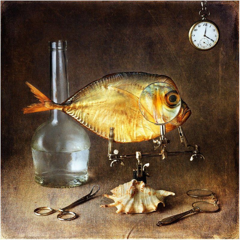 Анатомия жизниphoto preview