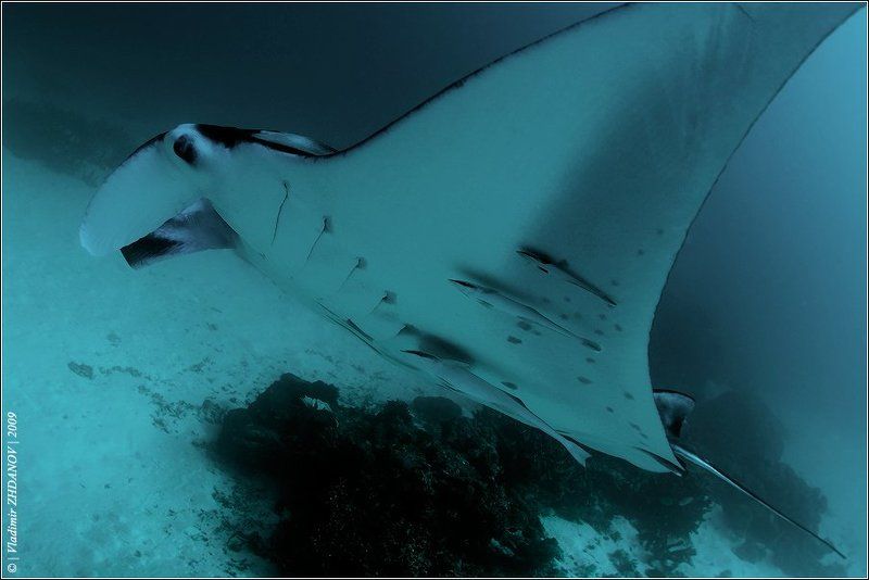 Бомбардировщик \