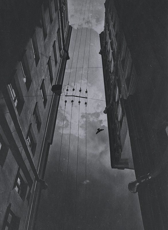 под ногамиphoto preview