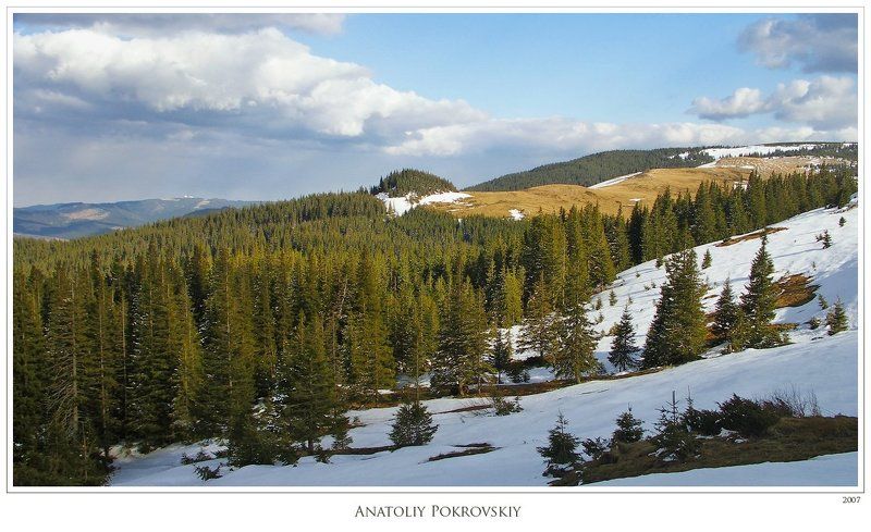 карпаты, весна, горы, хребет пниве, вечер, облака, ель, анатолий покровский Вечерняя акварель весенних Карпат фото превью