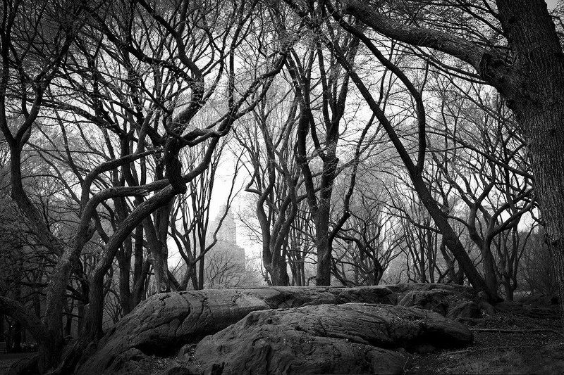 low seasonphoto preview