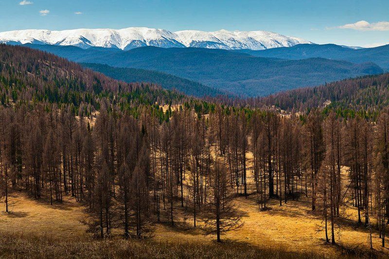 Простор Алтая!photo preview