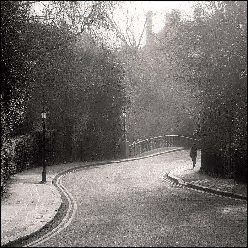 лондон, риджент-парк ***photo preview